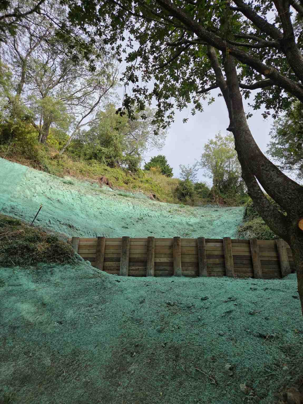 92198559-2d7a-493e-a138-72b61821c6c3 Green_Meadow_Digger